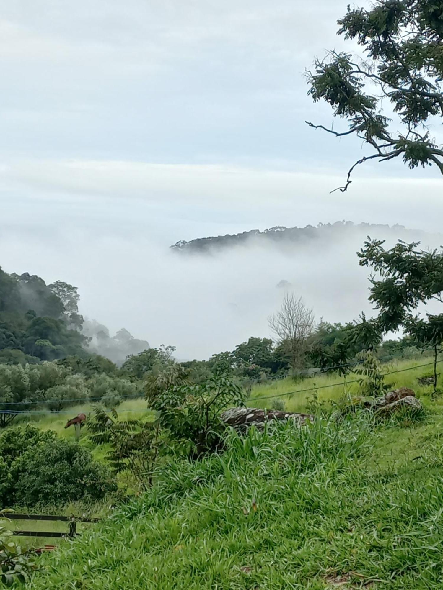 Chale Araucaria- Vale Das Pedras Mg Sapucaí-Mirim Dış mekan fotoğraf